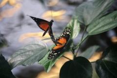 image-2019-04-03